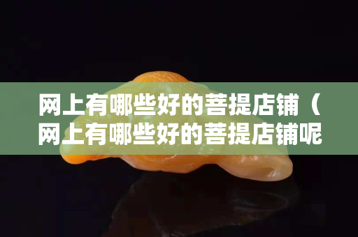 网上有哪些好的菩提店铺（网上有哪些好的菩提店铺呢）