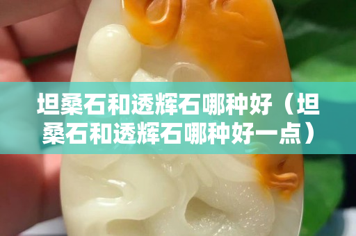 坦桑石和透辉石哪种好（坦桑石和透辉石哪种好一点）