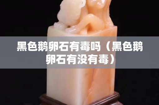 黑色鹅卵石有毒吗（黑色鹅卵石有没有毒）