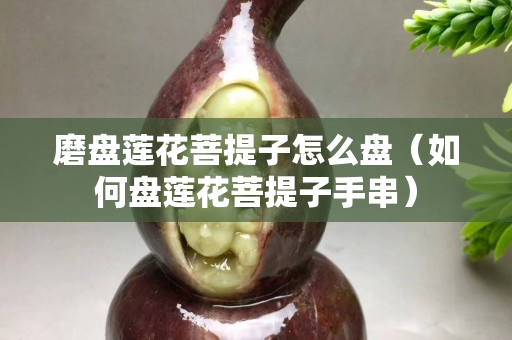 磨盘莲花菩提子怎么盘（如何盘莲花菩提子手串）