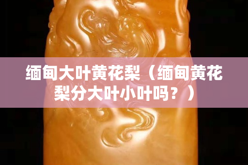 缅甸大叶黄花梨（缅甸黄花梨分大叶小叶吗？）
