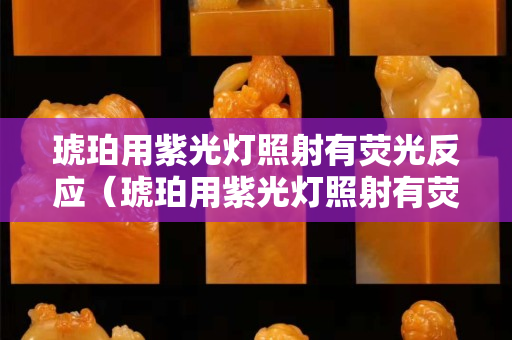 琥珀用紫光灯照射有荧光反应（琥珀用紫光灯照射有荧光反应怎么办）
