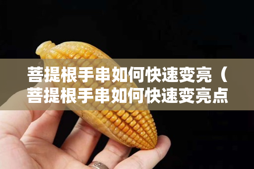 菩提根手串如何快速变亮（菩提根手串如何快速变亮点）
