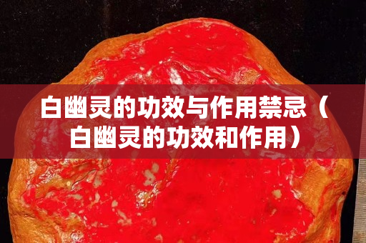 白幽灵的功效与作用禁忌（白幽灵的功效和作用）