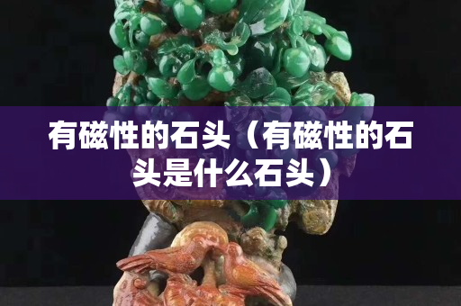 有磁性的石头（有磁性的石头是什么石头）