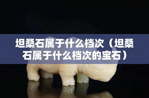 坦桑石属于什么档次（坦桑石属于什么档次的宝石）