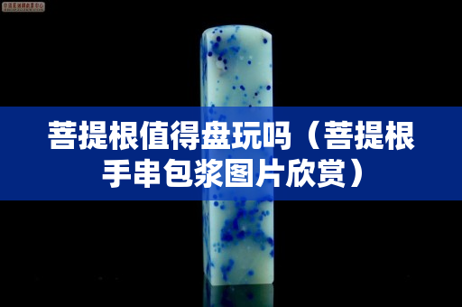 菩提根值得盘玩吗（菩提根手串包浆图片欣赏）