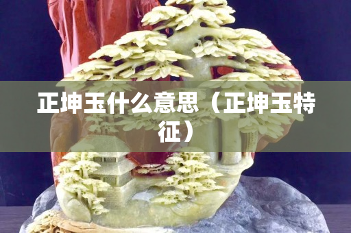 正坤玉什么意思（正坤玉特征）