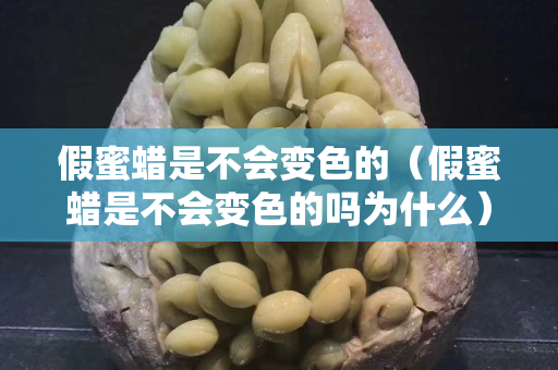 假蜜蜡是不会变色的（假蜜蜡是不会变色的吗为什么）