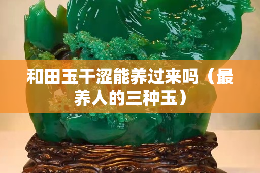 和田玉干涩能养过来吗（最养人的三种玉）