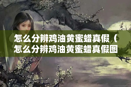 怎么分辨鸡油黄蜜蜡真假（怎么分辨鸡油黄蜜蜡真假图解）