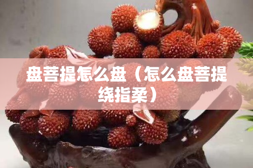 盘菩提怎么盘（怎么盘菩提绕指柔）