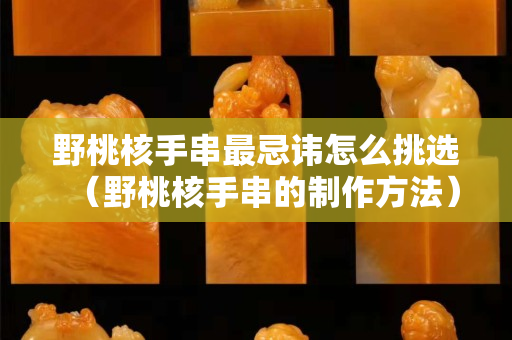 野桃核手串最忌讳怎么挑选（野桃核手串的制作方法）