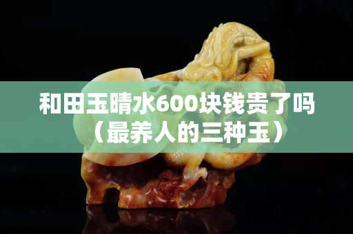 和田玉晴水600块钱贵了吗（最养人的三种玉）
