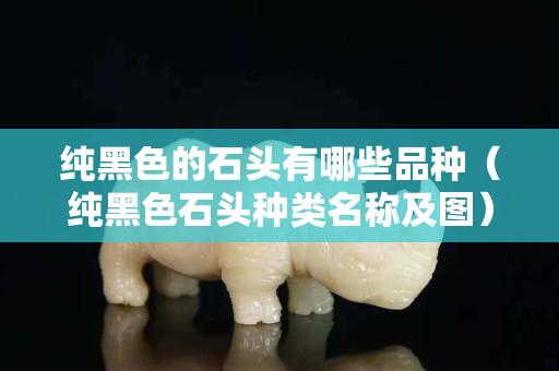 纯黑色的石头有哪些品种（纯黑色石头种类名称及图）