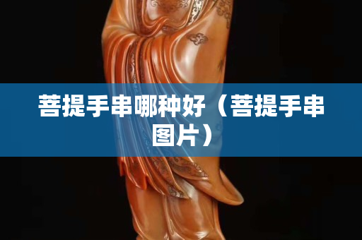 菩提手串哪种好（菩提手串图片）