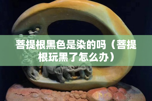 菩提根黑色是染的吗（菩提根玩黑了怎么办）