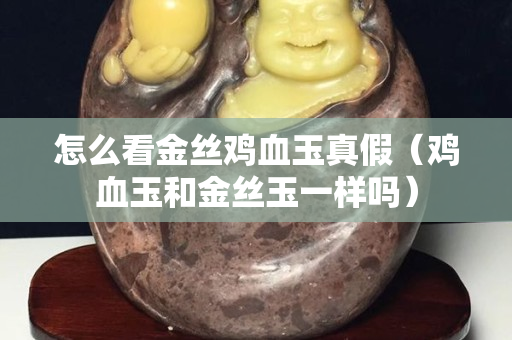 怎么看金丝鸡血玉真假（鸡血玉和金丝玉一样吗）