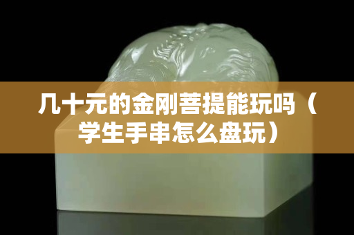 几十元的金刚菩提能玩吗（学生手串怎么盘玩）