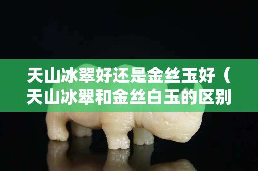 天山冰翠好还是金丝玉好（天山冰翠和金丝白玉的区别）