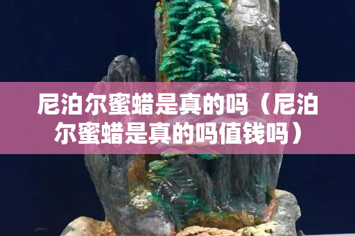 尼泊尔蜜蜡是真的吗（尼泊尔蜜蜡是真的吗值钱吗）