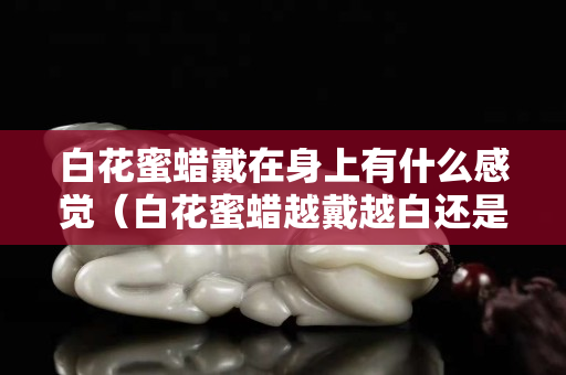 白花蜜蜡戴在身上有什么感觉（白花蜜蜡越戴越白还是越黄）
