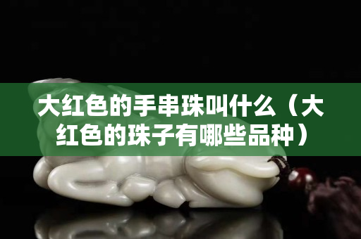 大红色的手串珠叫什么（大红色的珠子有哪些品种）