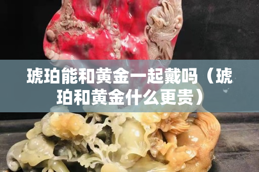 琥珀能和黄金一起戴吗（琥珀和黄金什么更贵）
