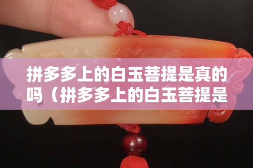 拼多多上的白玉菩提是真的吗（拼多多上的白玉菩提是真的吗吗）
