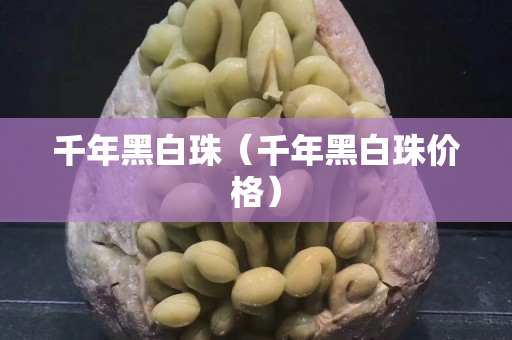千年黑白珠（千年黑白珠价格）