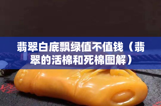 翡翠白底飘绿值不值钱（翡翠的活棉和死棉图解）