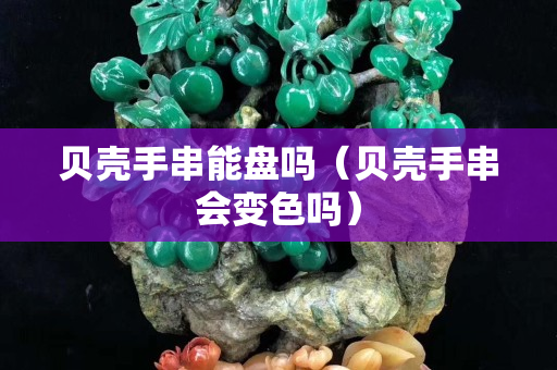 贝壳手串能盘吗（贝壳手串会变色吗）