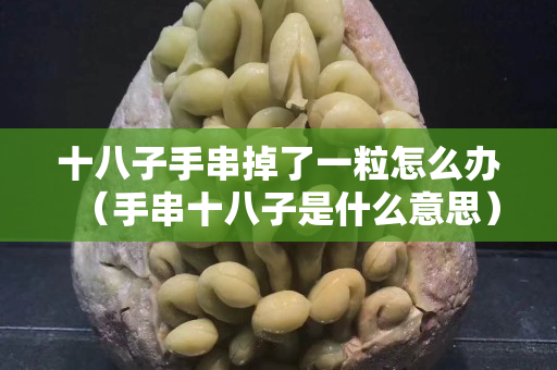 十八子手串掉了一粒怎么办（手串十八子是什么意思）