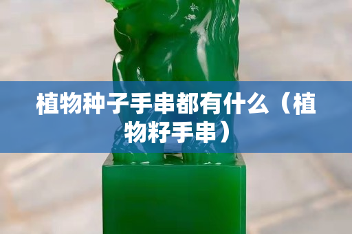 植物种子手串都有什么（植物籽手串）