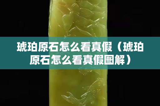琥珀原石怎么看真假（琥珀原石怎么看真假图解）