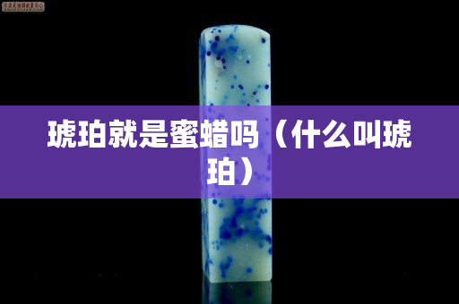 琥珀就是蜜蜡吗（什么叫琥珀）