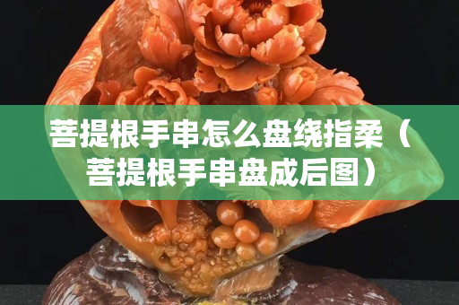菩提根手串怎么盘绕指柔（菩提根手串盘成后图）