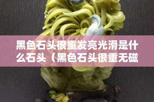 黑色石头很重发亮光滑是什么石头（黑色石头很重无磁性有光泽）