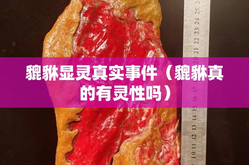 貔貅显灵真实事件（貔貅真的有灵性吗）