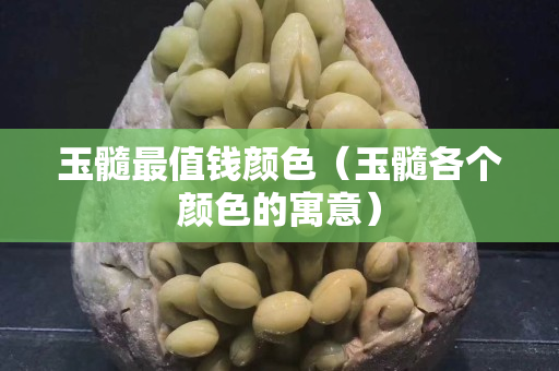 玉髓最值钱颜色（玉髓各个颜色的寓意）