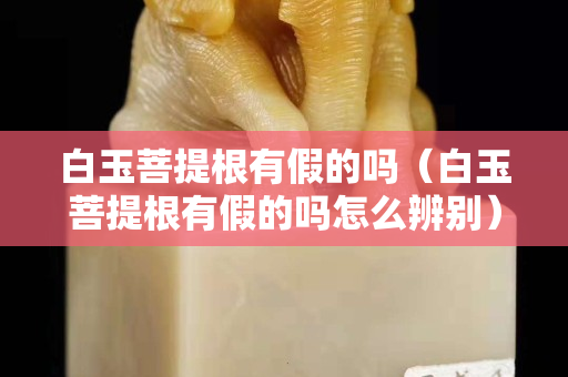 白玉菩提根有假的吗（白玉菩提根有假的吗怎么辨别）