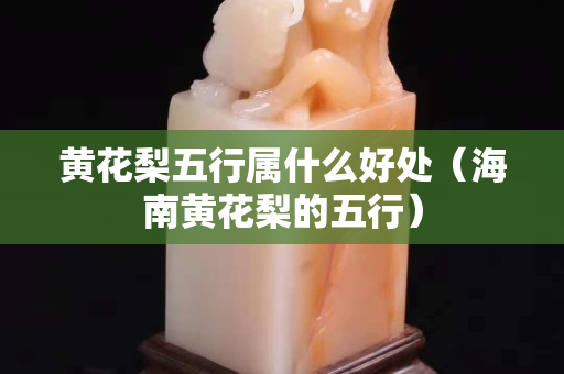 黄花梨五行属什么好处（海南黄花梨的五行）