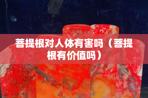 菩提根对人体有害吗（菩提根有价值吗）