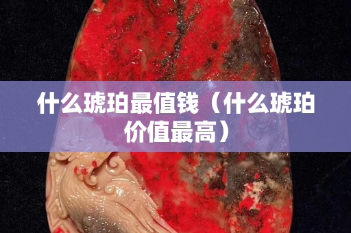 什么琥珀最值钱（什么琥珀价值最高）