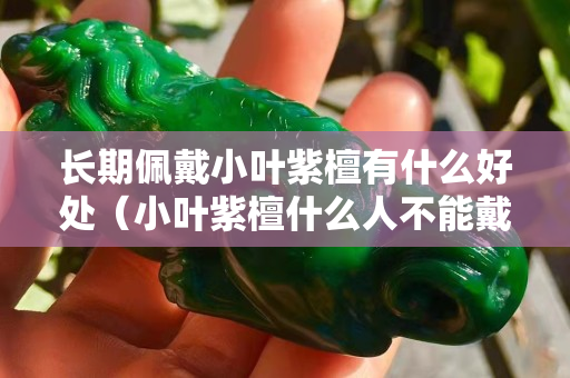 长期佩戴小叶紫檀有什么好处（小叶紫檀什么人不能戴）