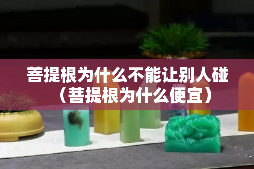 菩提根为什么不能让别人碰（菩提根为什么便宜）