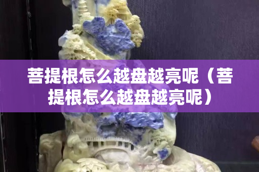 菩提根怎么越盘越亮呢（菩提根怎么越盘越亮呢）