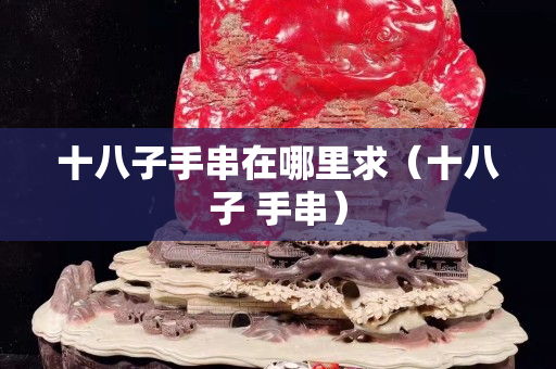 十八子手串在哪里求（十八子 手串）