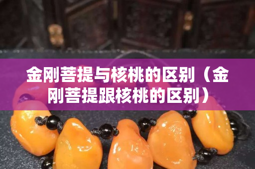 金刚菩提与核桃的区别（金刚菩提跟核桃的区别）