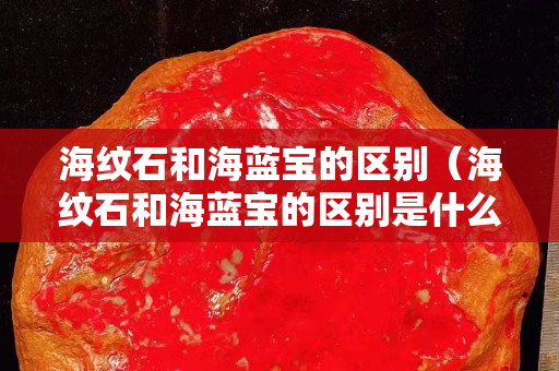 海纹石和海蓝宝的区别（海纹石和海蓝宝的区别是什么）